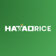 Hatao Rice