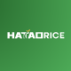 Hatao Rice