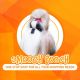 Smooch Pooch Discount Center