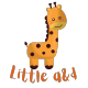 Little A&D