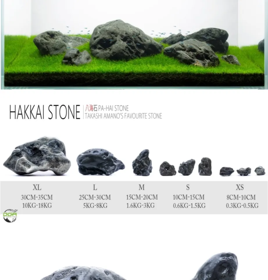 Aquascape JAPAN Hakkai Stone Amano stone(水草造景八海石） | Lazada
