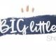 Big Little Shop