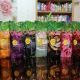 Arsakha.OShop