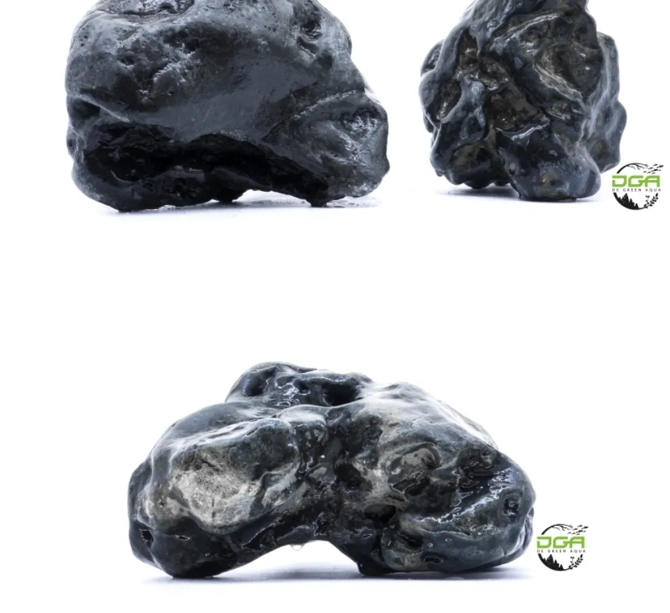 Aquascape JAPAN Hakkai Stone Amano stone(水草造景八海石） | Lazada