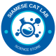 Siamese Cat Lab02