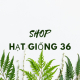 Shop Hạt Giống 36