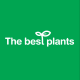 The best plants