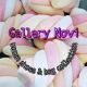 gallery novi