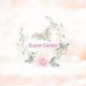 Super Center