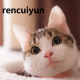 rencuiyun