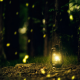 Firefly2