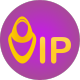 VIP Fashion Hijab Style
