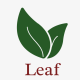 Hạt giống Leaf