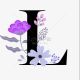 Loly Id 1608777925