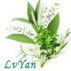 LY herbs