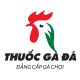THẦY THUỐC GÀ ĐÁ