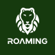 Roaming Koper