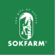 MẬT HOA DỪA SOKFARM HCM
