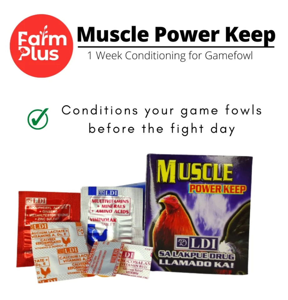 Muscle Power Keep LDI Conditioning for Gamefowl | Lazada PH