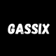 GASSIX COMPANY