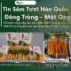 Tin Sâm Tươi Hàn Quốc Đông Trùng Mật Ong