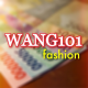 WANG101 fashion