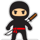 Ninja Audio OS