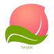 Terylin