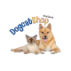 DogcatShopthailand