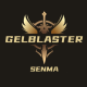 SENMA BLASTER SHOP