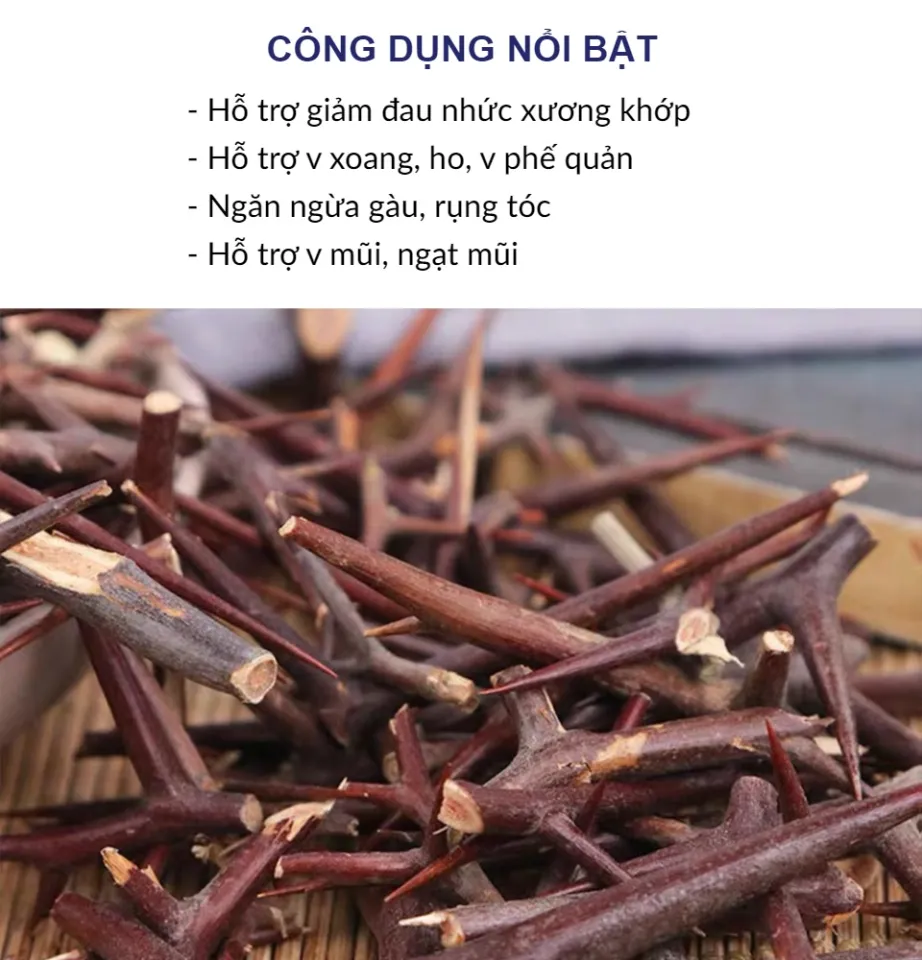 Gai Bồ Kết có tác dụng gì? Gai Bồ Kết có tác dụng gì?