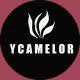YCAMEL