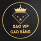 DAO VIP CAO BẰNG