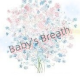 Baby's Breath494