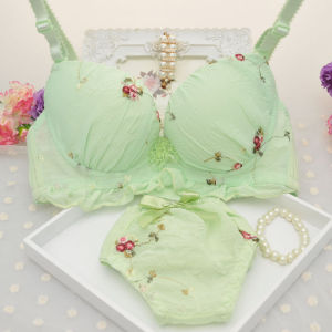 Bộ Đồ Lót Nữ Good Emotion Sweet Gather Bra Set Mỏng Mùa Thu Bộ Đồ Lót Sinh Viên Phong Cách Nhật Bản Bộ Đồ Lót Hai Mảnh