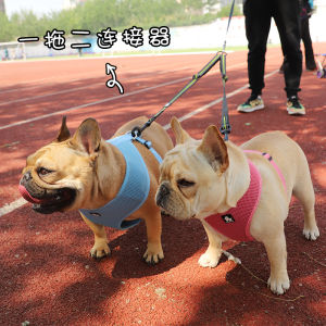 สายพานพาสุนัขแบบดึงคู่ สายพานพาสุนัขแบบยืดหยุ่น 2 ข้าง Truelove สำหรับสุนัขพันธุ์ต่างๆ