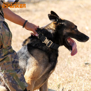 Transcendent Dog Collar Large Dog Special Strong Collar Tuhao Gold Dog Hand Holding Rope Medium-Sized Dog Dog Collar Collar