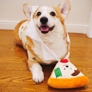 Come to Wire Drawing! Ins-Style Pizza-Shaped Pet Food Storage Noise Paper More than the Toy Dog Smell Modes Consumption Artifact