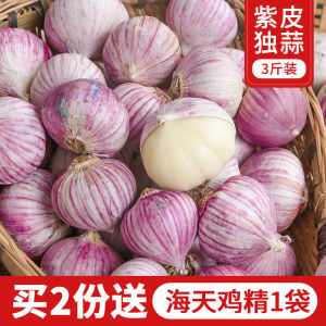 Sichuan Specialty Garlic Purple Peel Garlic 1.50kg Single Clove Garlic Purple Garlic Red Peel Garlic Farm Self-Planted Dried Garlic