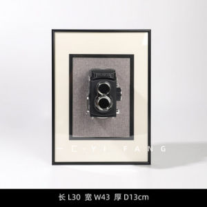 Camera Decorative Painting Art Decorative Painting Stereograph Finished Product Model Room Study Hanging Painting Home Photography Theme Design