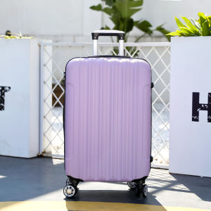 New Arrival Suitcase for Female Students Fresh Style Trolley Password Suitcase Small 20-Inch Travel Flight Case 24-Inch Suitcase for Men