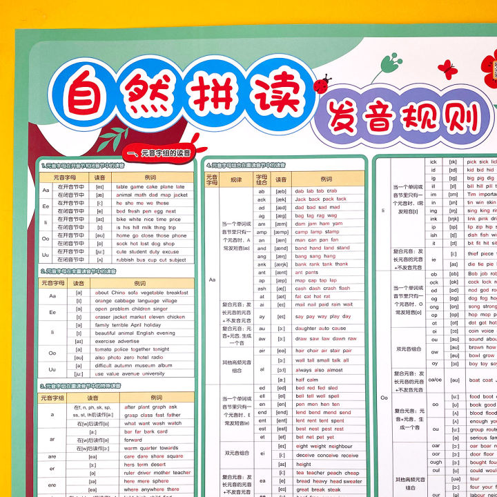 Primary School English Nature Spelling Pronunciation Rules Table Textbook Teaching Aid