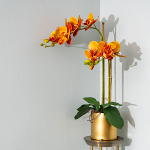 Light Luxury Feel Butterfly Orchid Emulational Flower Decoration Fake Flower and Decorative Flower Living Room Furnishings Coffee Table Floral Table Flower Decoration Flower