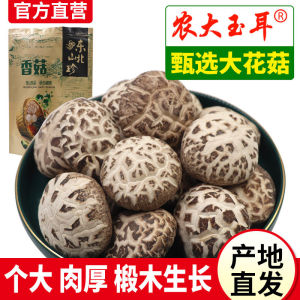 Northeast Specialty Pure Birchwood Mushroom Leg Removed Thick Meat Dried New Stock 500g Long White Mountain Large Flower Mushroom