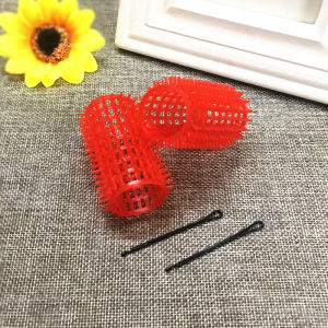 Plastic Old-Fashioned Hair Roller Bangs Roll Large Twisted Rolls Old-Fashioned Hair Roller Old-Fashioned Hair Curler Hair Clip Card Female