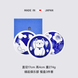 Hasami Roast Kitten Plate Japanese Imported Childrens Tableware Combination Set Cartoon Ceramic Plate Japanese Dish Cute
