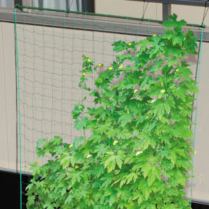Garden Helper Climbing Net Grid Support Frame for Cucumbers Beans Vegetables Plants Greenhouse Agriculture Gardening Tools