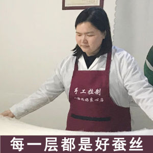 Tongxiang Hand-Drawn Silk Quilt 100 Mulberry Silk Quilt for Spring and Autumn Summer Quilt Air Conditioning Heating Quilt Small and Large Duvet Insert Winter Quilt