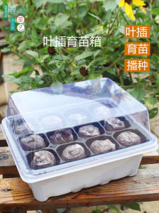 Mo Gardening 12-Hole Plastic Seedling Box Nursery Box Plug Seedling Block Insulation Moisturizing Nursery Basin Seedling Pot