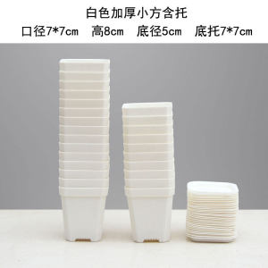 Thickened Octagonal 7 Square Small White Black Square Succulent Large Square Flower Pot Plastic Bracket Leaf Insert Nursery Basin Package